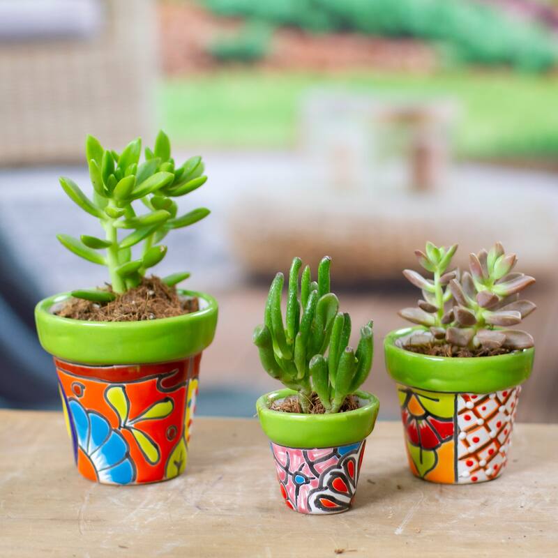 Novica Handmade Flourishing Flora Ceramic Flower Pots (Set Of 3)