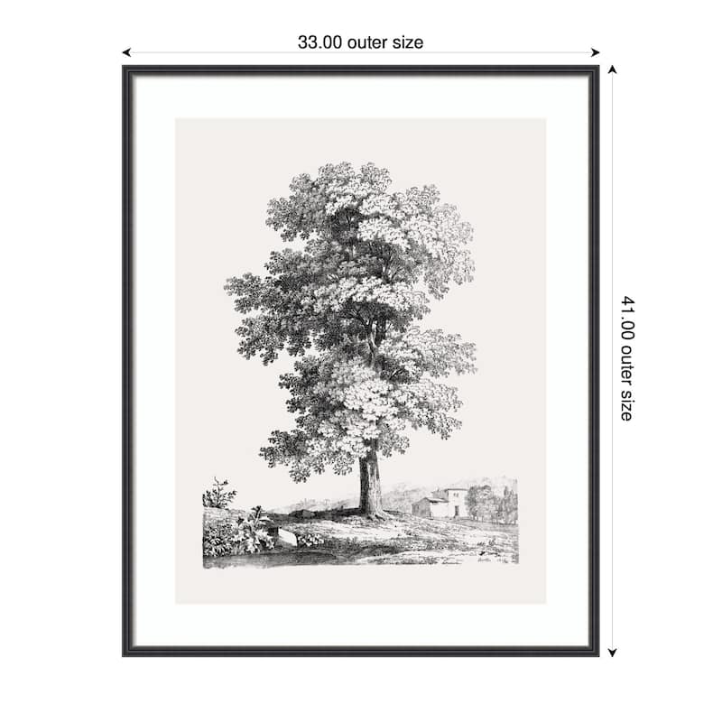 Kate and Laurel Framed Art Jean Victor Bertin Study of a Tree 1816 by The Art Institute of Chicago