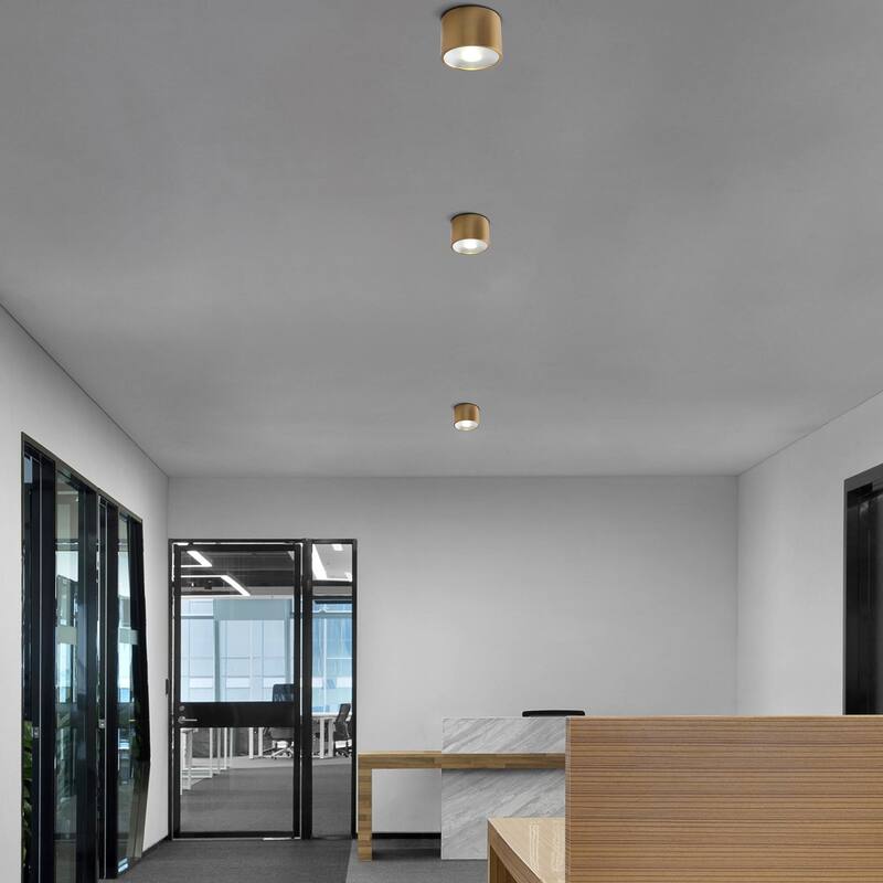 LED Flush Mount Ceiling Light Modern Light Fixtures Ceiling