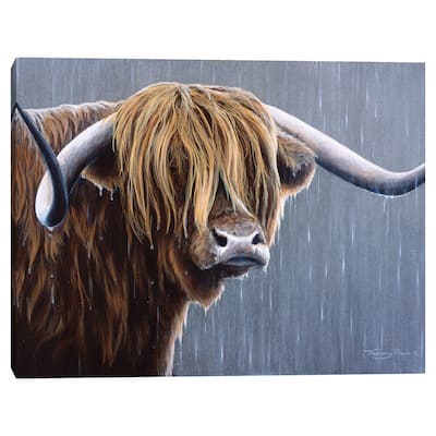 Highland Bull Rainy Day by Jeremy Paul Canvas Art Print