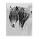 Stupell Black White Monochrome Serene Fjord Horse Portrait Wood Wall ...