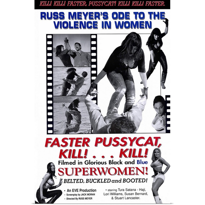 Faster, Pussycat! Kill! Kill! 額入りポスター‼️ NEW! Faster PussyCat Kill Kill! Poster | BlitzCadet