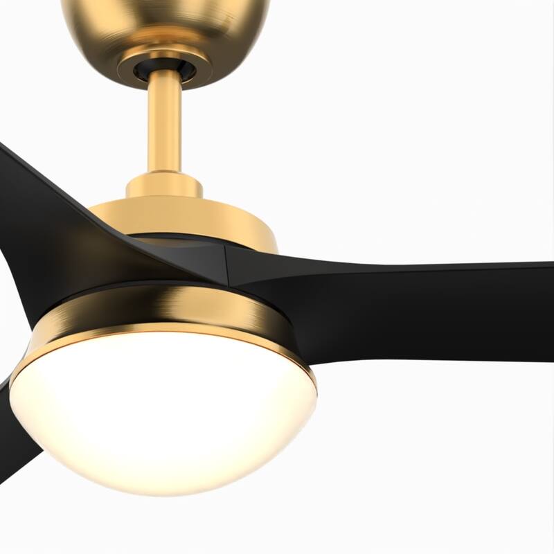 Barlow 52 inch Indoor/Outdoor Brushed Satin Brass with Black blades Ceiling Fan with LED CCT Select Light Kit and Remote