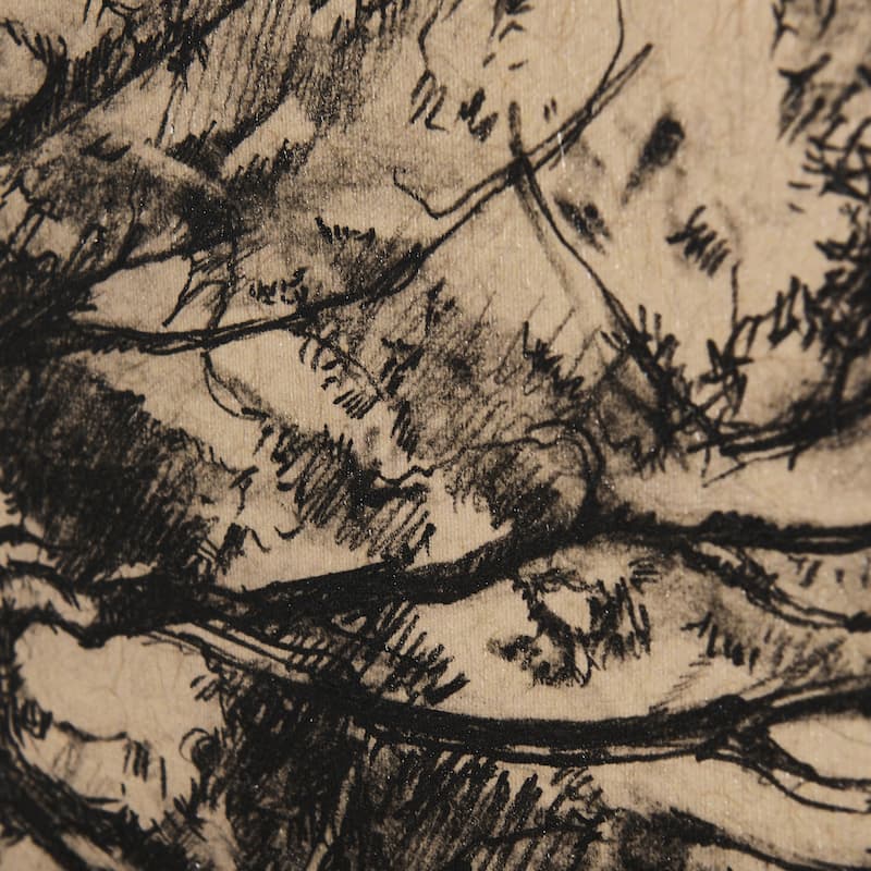 Tree Drawing III (45 x 60) Canvas Art Print