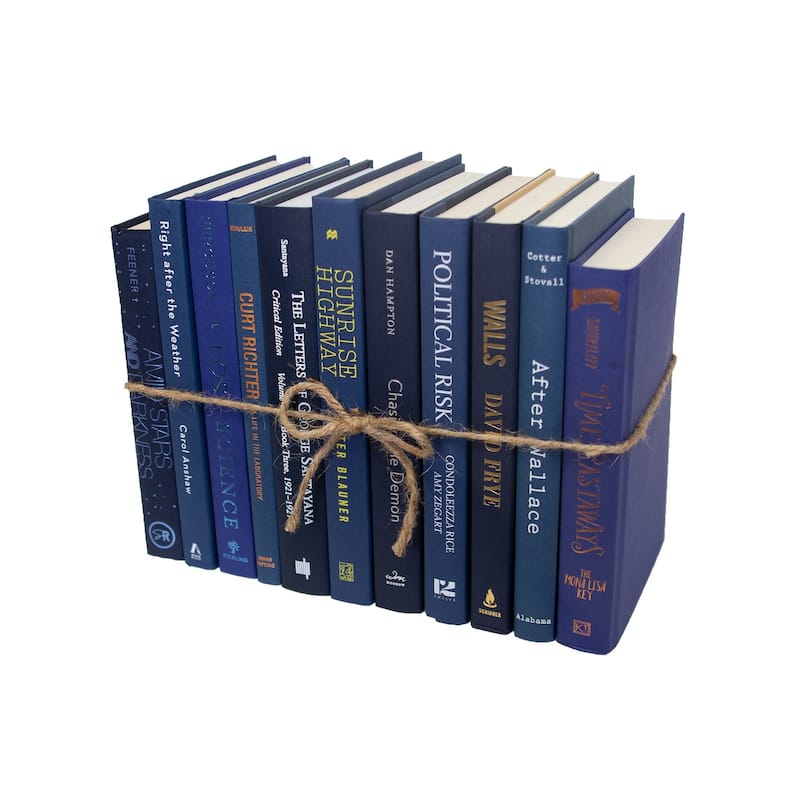 Books Blue Decorative Accessories: Denim ColorPak