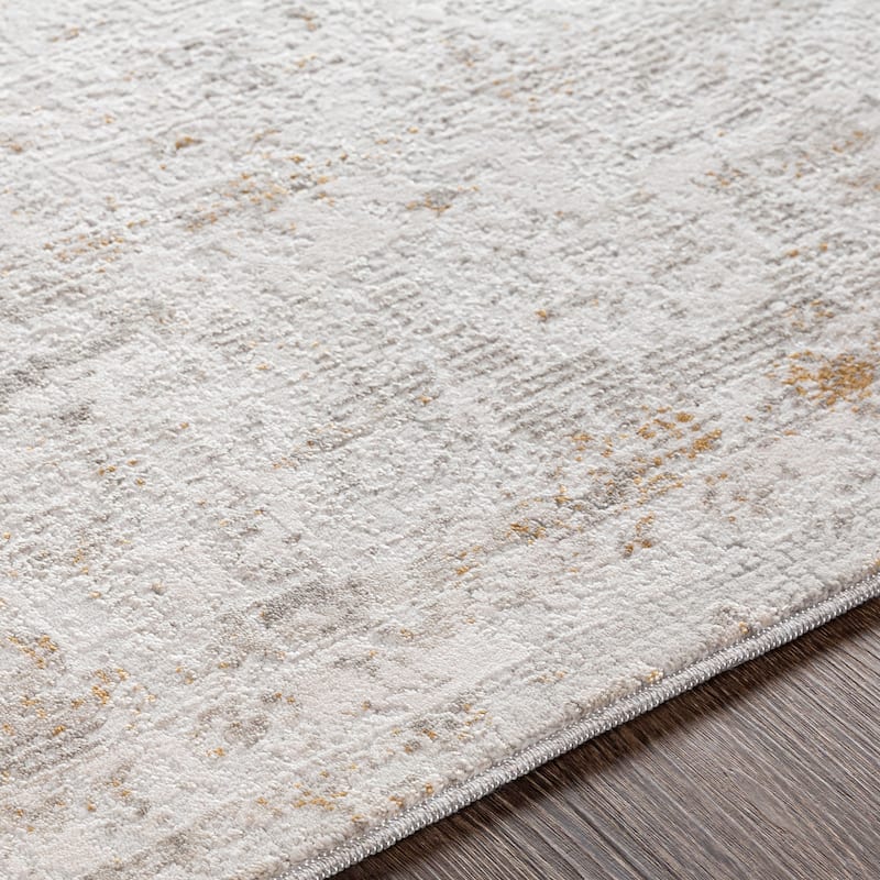 Artistic Weavers Camillus Vintage Border Area Rug
