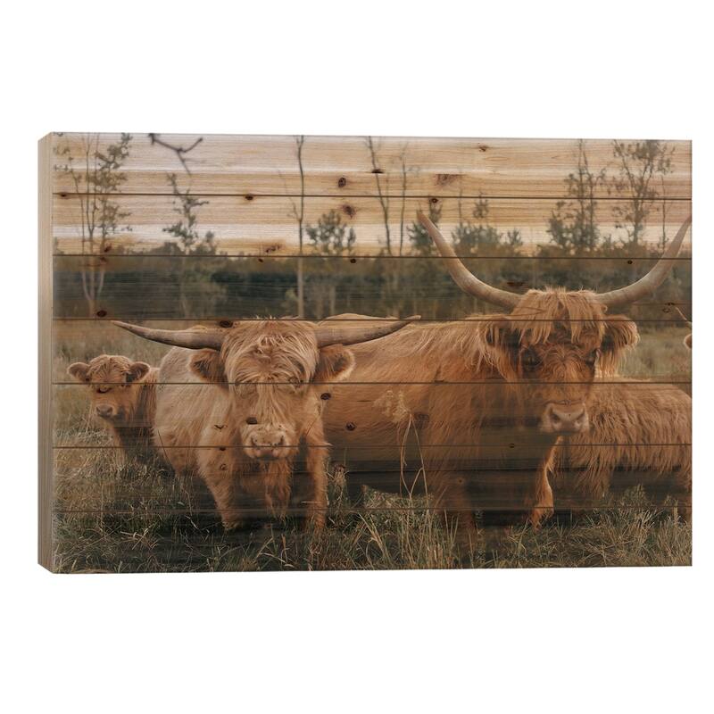 Highland Cow Herd Print On Wood by Chelsea Victoria - Multi-Color - 26x40x1.5
