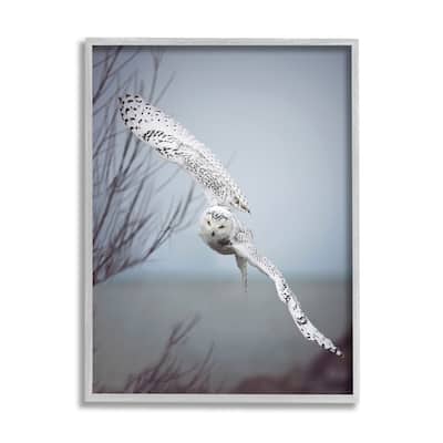 Stupell Majestic Snowy Owl Flying Wingspan Wildlife Photography Framed Wall Art, Design by Carrie Ann Grippo-Pike