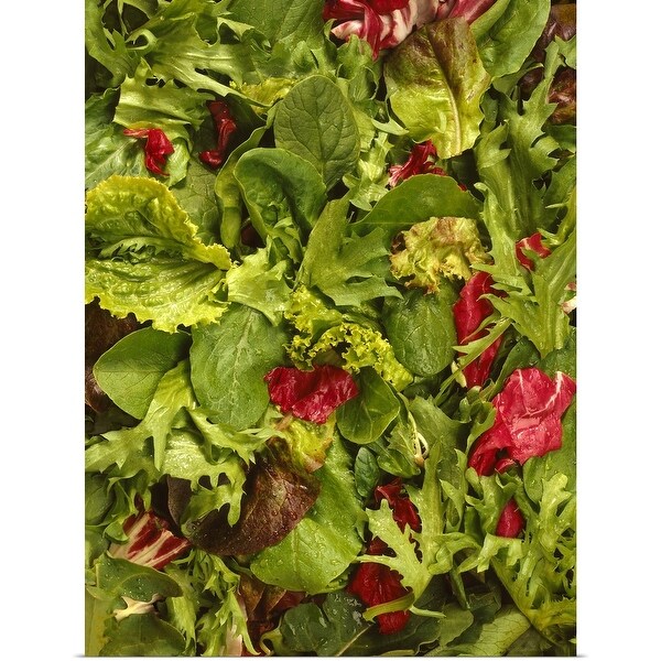 "Mixed lettuce salad" Poster Print