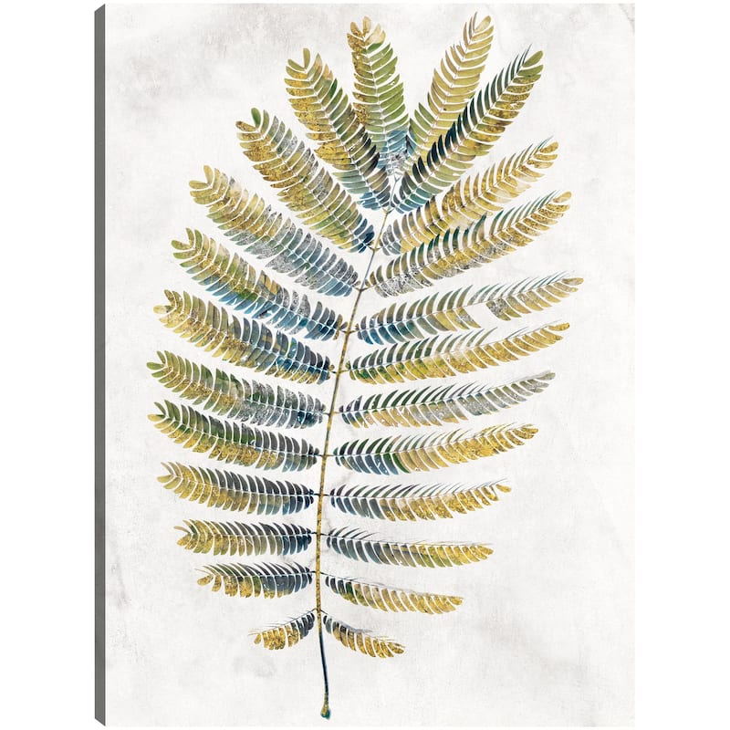 Opulent Ferns I By Studio Arts Canvas Art Print