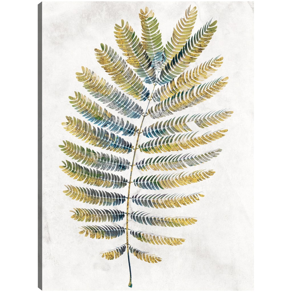 Opulent Ferns I By Studio Arts Canvas Art Print