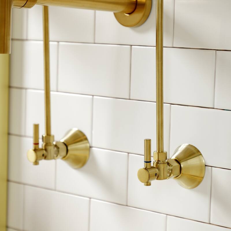 Trimscape Plumbing Sink Trim Kit with Bottle Trap