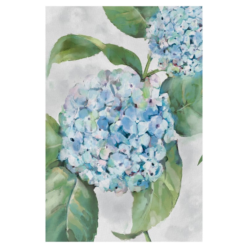 Hydrangea Portraits I by Studio Arts Canvas Art Print