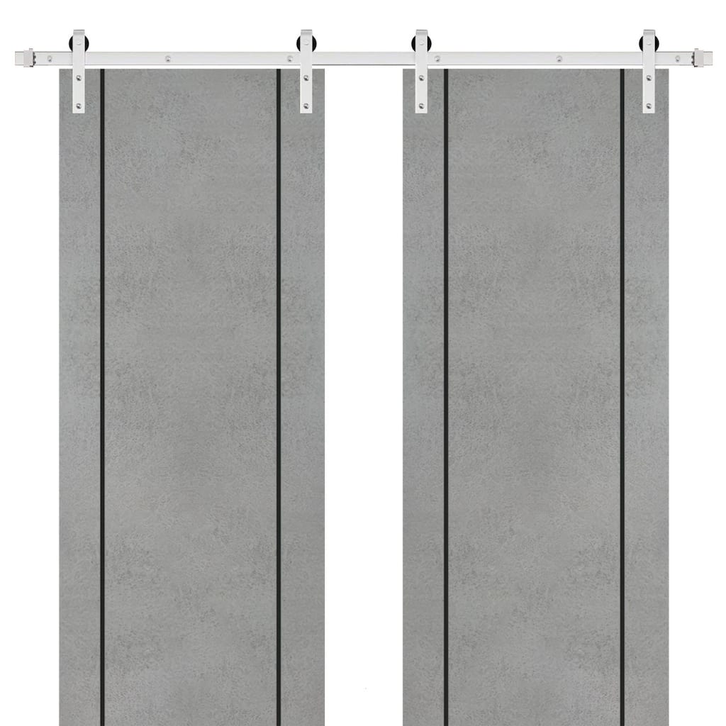Sturdy Double Barn Door 36 x 80 with Planum 0016 Concrete with 13FT