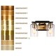 preview thumbnail 26 of 26, 2/3/4-Light Modern Black Gold Bathroom Vanity Lights Seeded Glass Wall Sconces