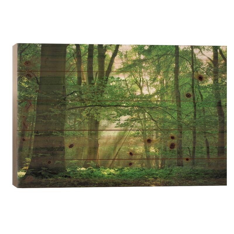 Breathe Print On Wood by Lars van de Goor - Multi-Color - 26x40x1.5