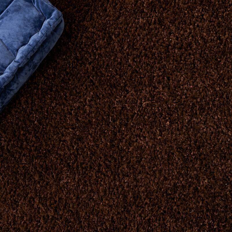 SAFAVIEH Santa Monica Shag Einara 2-inch Thick Area Rug