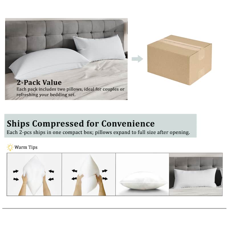 CraftPorch Elegence 2 Pieces Pillow