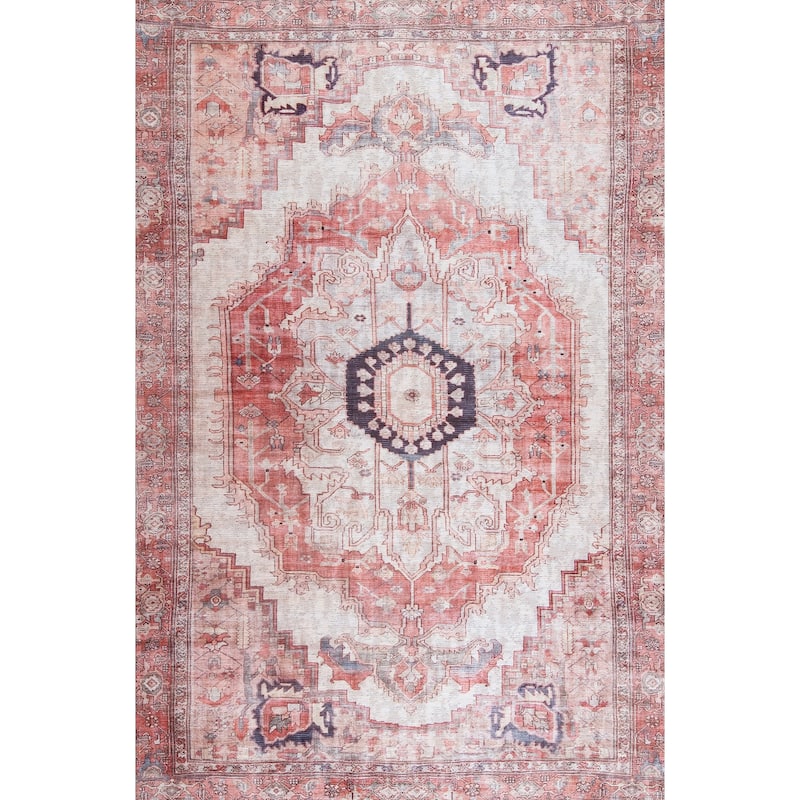 Nuloom Minna SpinClean Vintage Area Rug