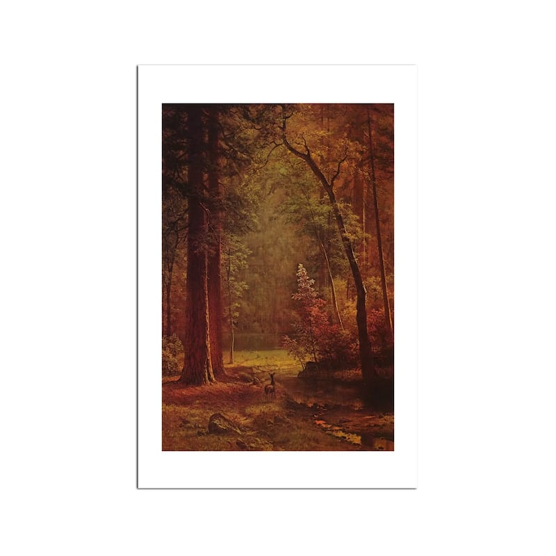 Dogwood Fine Art Paper Print by Albert Bierstadt - Multi