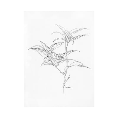 Arrangement IV (44 x 60) Canvas Art Print