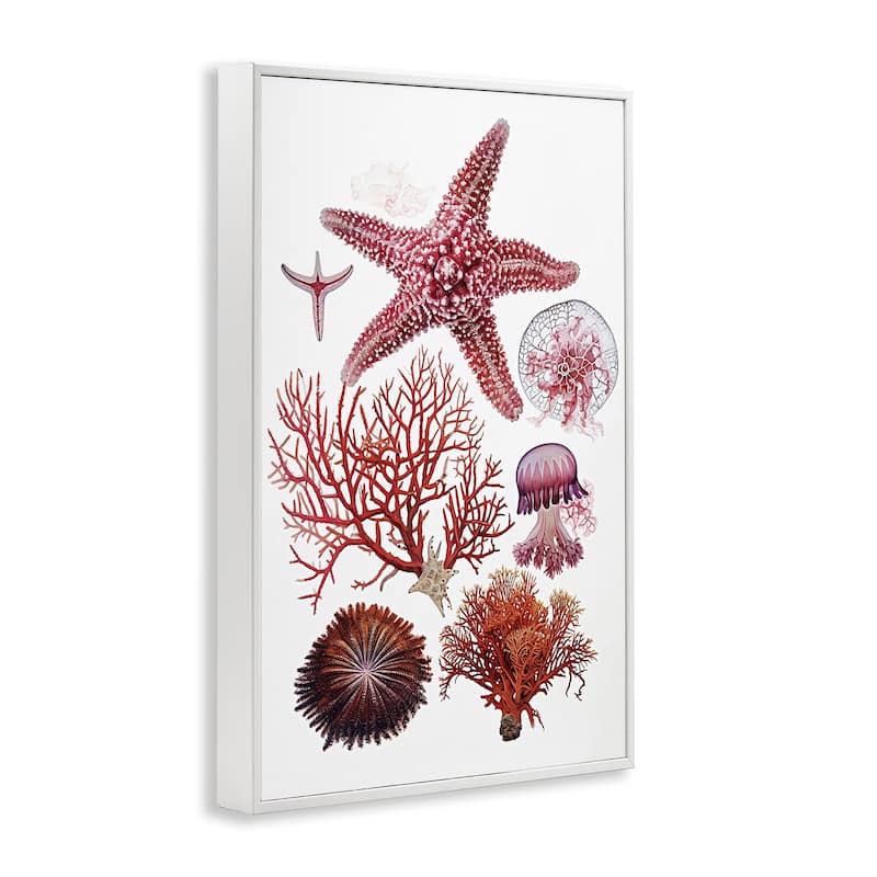 Stupell Rosy Undersea Creatures Framed Giclee Art Design By Ramona Murdock