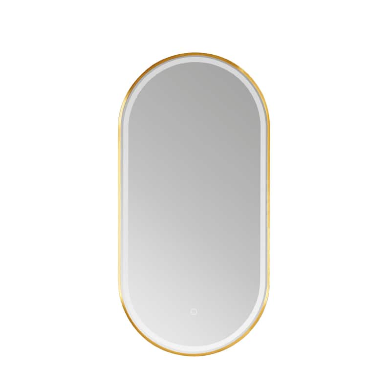 18'' Oval LED Lighted Accent Bathroom/Vanity Wall Mirror - 18