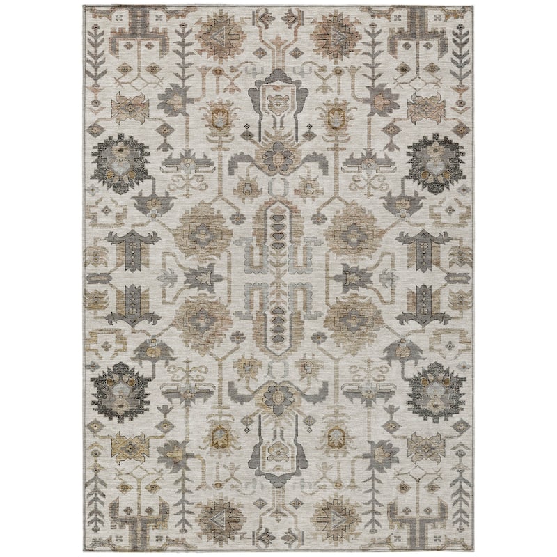 HomeRoots Oriental Traditional Rectangle Outdoor Rug