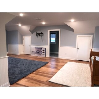 Safavieh Athens Shag Ilaha Solid Rug