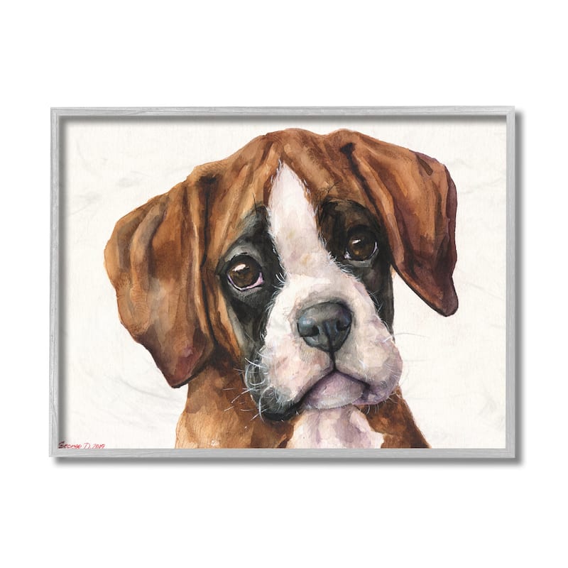 Stupell Puppy Eyes Boxer Dog Pet Portrait Brown White Framed Wall Art