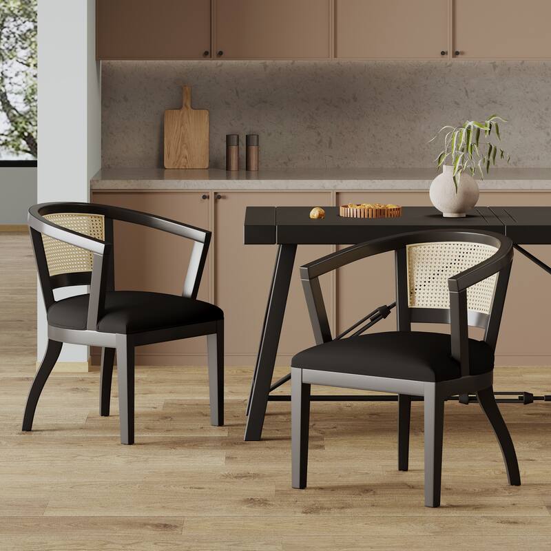 Dining Chair Set of 2