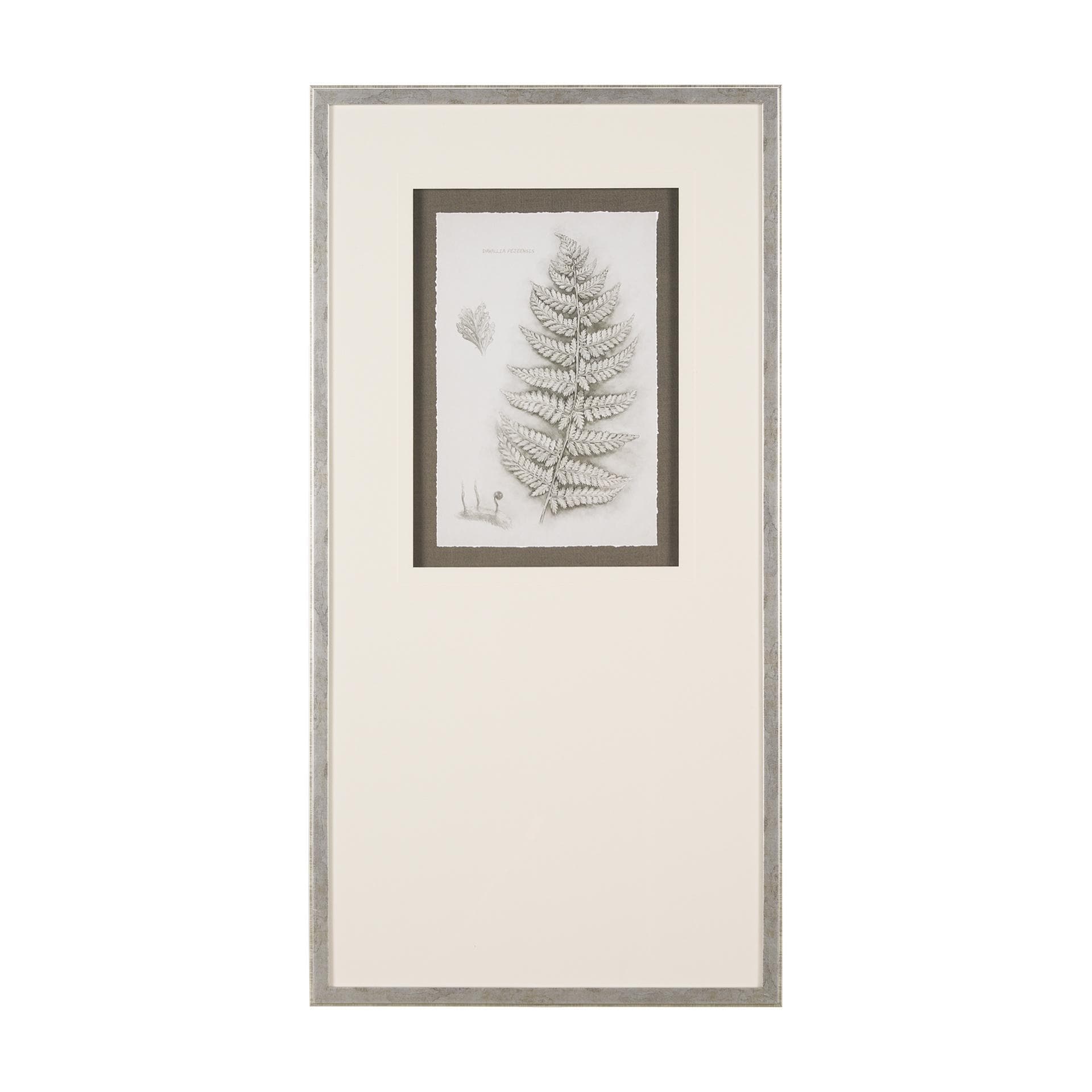 Mercana Fern Study II by Mercana Studio Hand Embelished Framed Art Print Matted under Glass