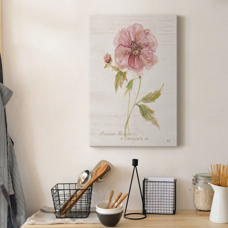 Soft Peony Premium Gallery Wrapped Canvas - Ready to Hang