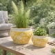 preview thumbnail 44 of 80, Decorative Floral Ceramic Chinoiserie Round Planter - Set of 2
