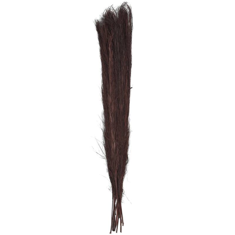 Dried Plant Feather Like Leaves Floral Bouquet Home Decor Natural Foliage with Stems - White, Brown, Green - Roche River Decor