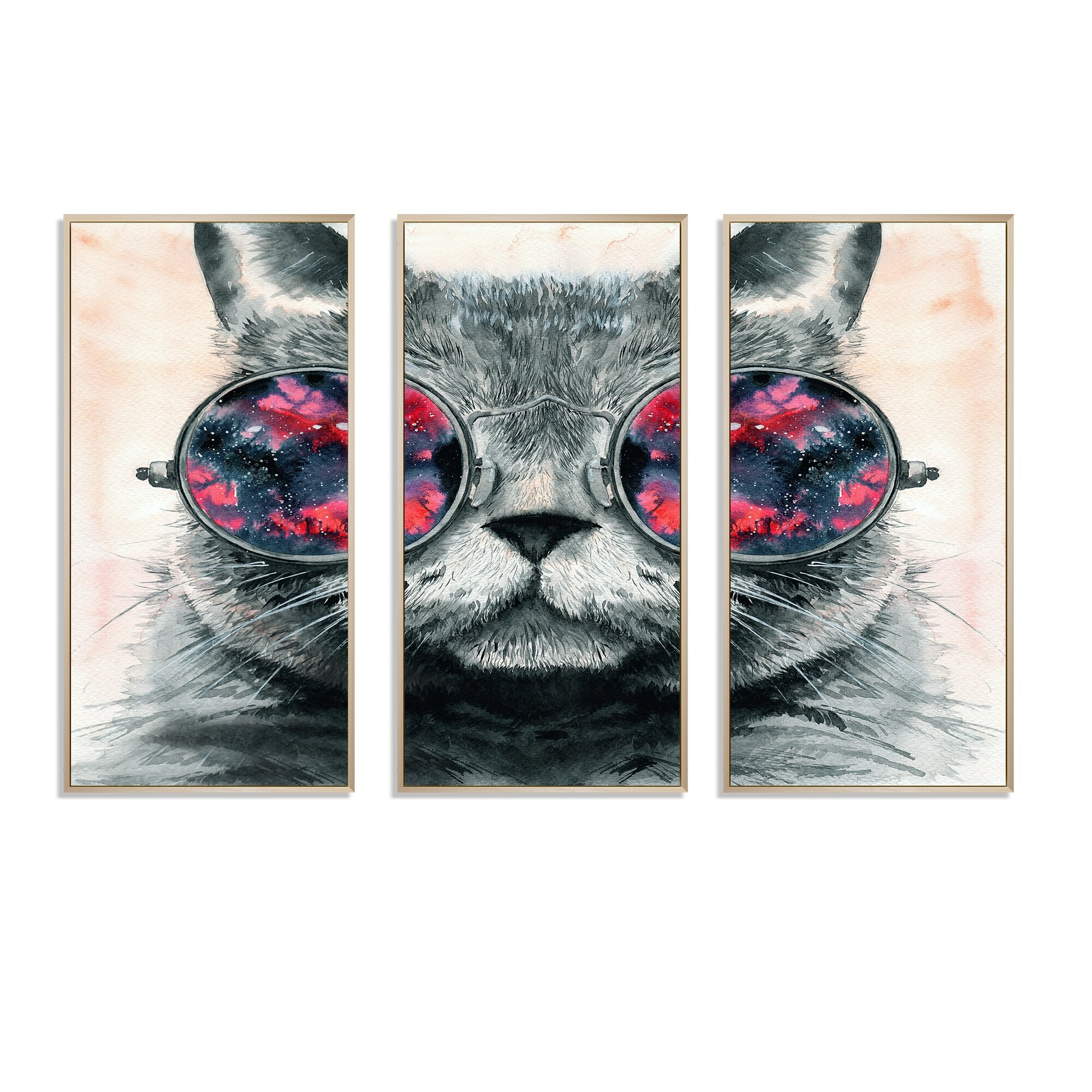 Designart Grey Fluffy Cat In Round Hippie Glasses III Modern Framed Canvas Wall Art Print Set of 3 4 Colors of Frames