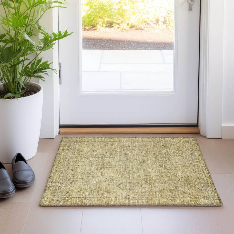 Machine Washable Indoor/ Outdoor Chantille Distressed Traditional Rug