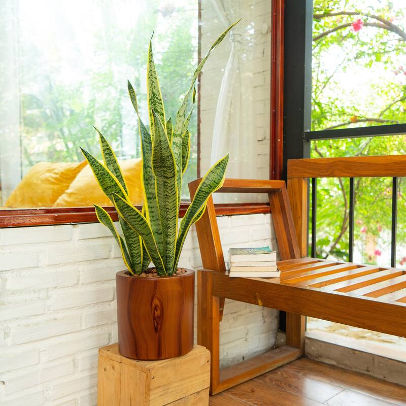 GDFStudio - Farmhouse Outdoor/Indoor 7.8" Self-Watering Round Planter Pot with Drainage Plug and Reservoir System