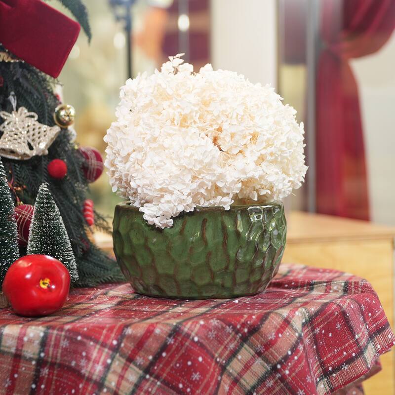 Ceramic Pots in Cobalt Blue Violets and Herbs with Breathable Design
