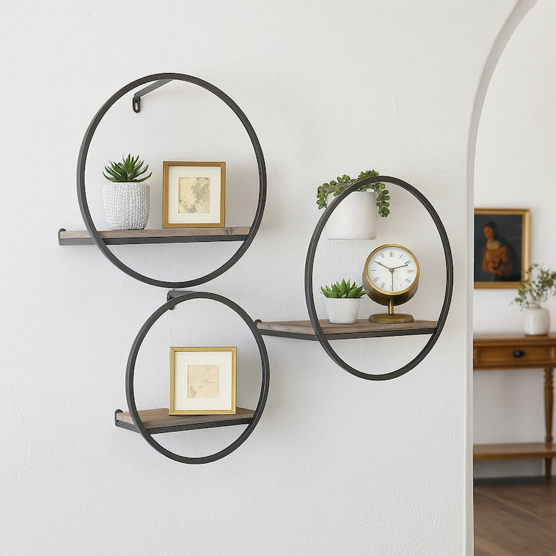 Metal Modern Circular Wall Shelves - Set of 3