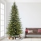 Puleo International 10 ft. Pre-Lit Slim Balsam Artificial Fir Tree ...