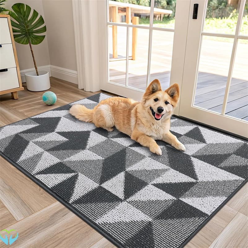 2 pack-Door Mat Indoor Entrance Washable