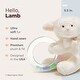 preview thumbnail 2 of 4, Bearington Baby Lamby Cream 5.5" Plush Shaker Rattle