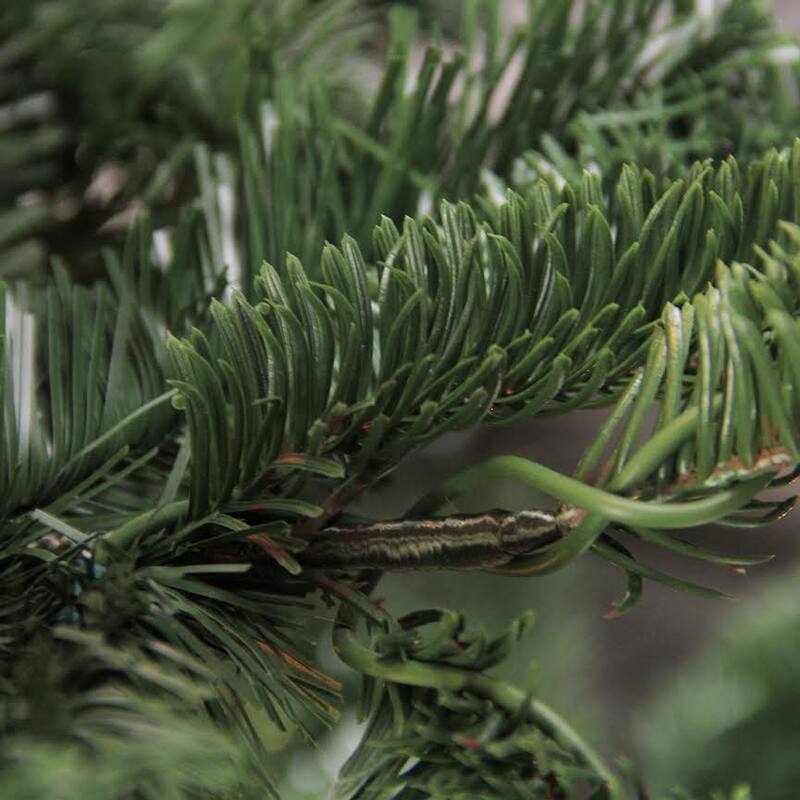 real touch™️ nordmann fir layered artificial christmas tree unlit 9' - 9 Foot