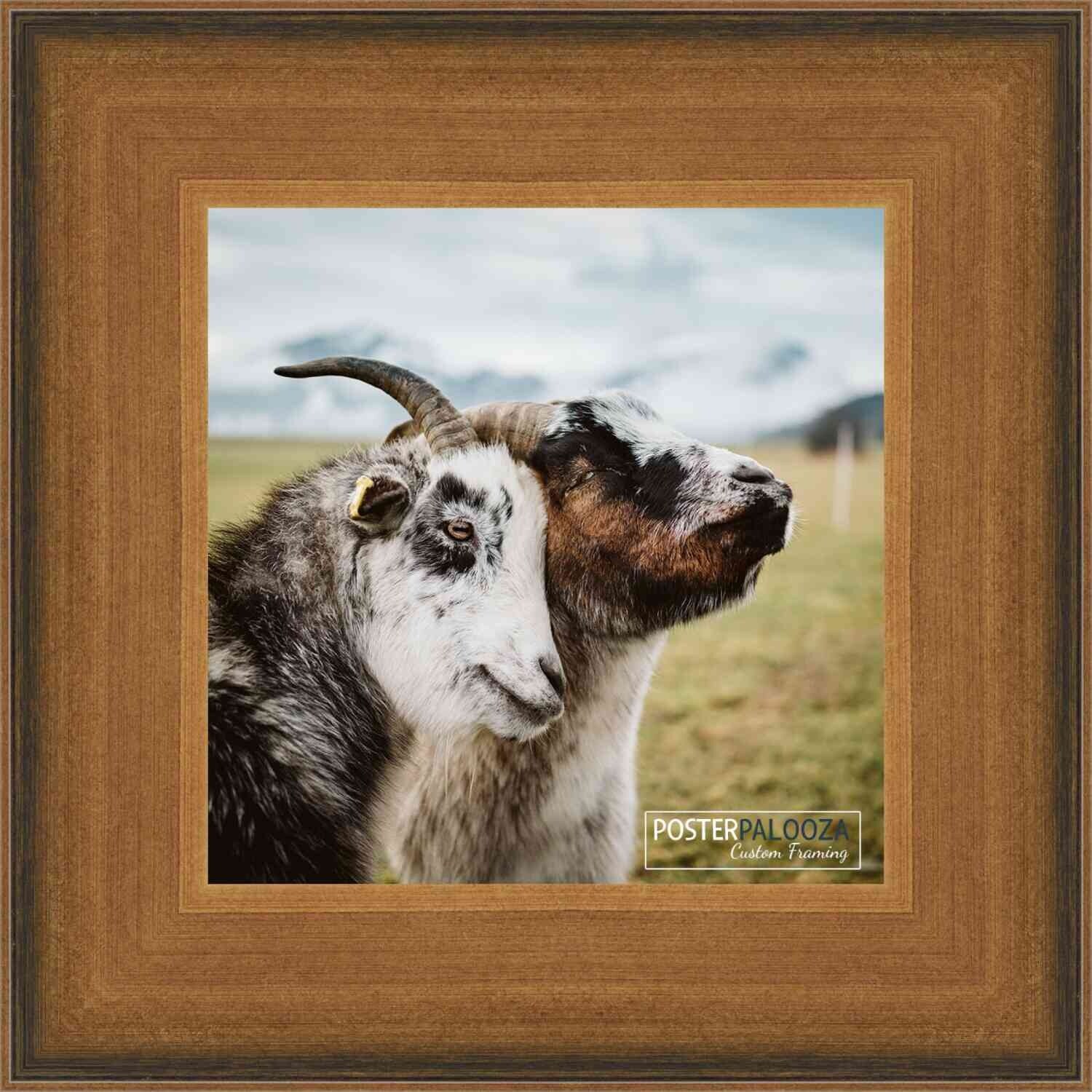 5x5 Contemporary Gold Complete Wood Square Picture Frame with UV Acrylic Foam Board Backing Hardware