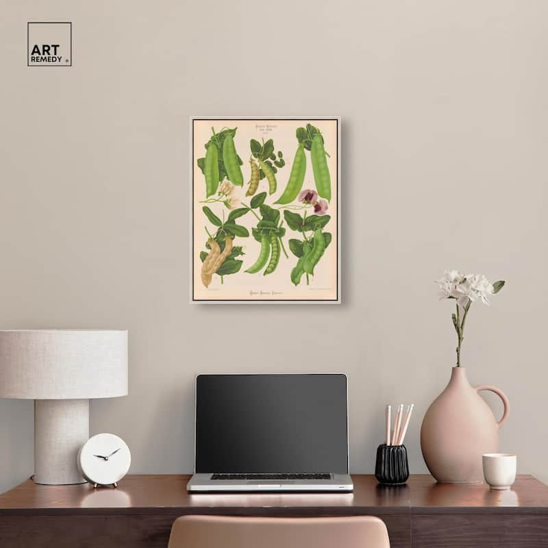 Podded Peas from Benary 1876 Canvas by Art Remedy