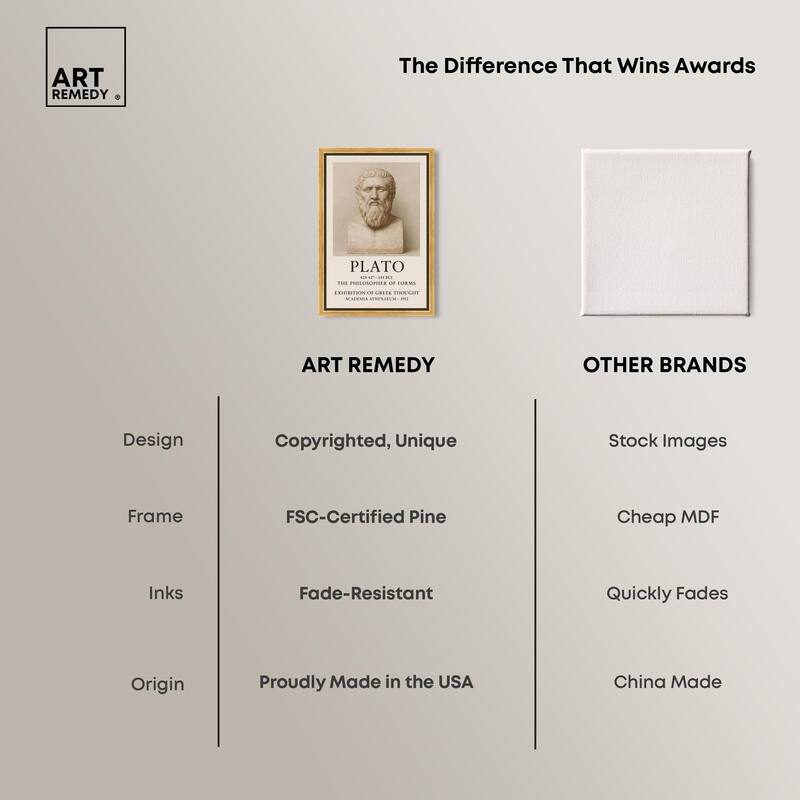 Philosopher of Forms Canvas by Art Remedy