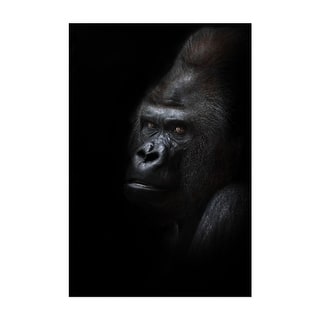 Dangerous gorilla male looking half turned Art Print/Poster - Bed Bath ...