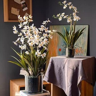 RusticReach White Hui Lan Orchid in Glass Pot - Bed Bath & Beyond ...