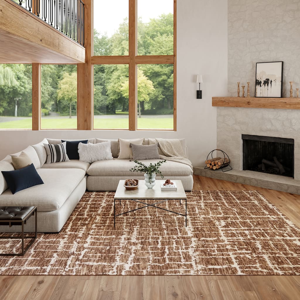 Nourison Luna Casual Abstract Area Rug